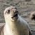 Steve Wright's profile image