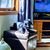 Ann Burnside Horrmann's profile image