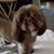 Lisa Doughty's profile image