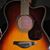 TJ Southern Groove Reinhart's profile image