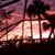 Nancy Wilcox's profile image