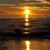 Lark Miry's profile image