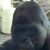 Rob Winters's profile image