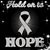 Linda Barnes's profile image