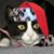 Joseph P. Moore's profile image