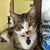 Kathleen Foley's profile image