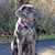 Jody Knapp's profile image