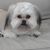Donna Vaughn-Gilbert's profile image