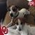 Amy Scott Rogers's profile image