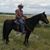 Lonnie Pierce's profile image