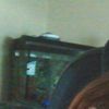 Vicki H.'s profile image