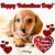 Betty Ashley's profile image