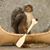 Joe Shields's profile image