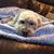 Julie Palomino Don's profile image