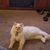 Debbie Peterson's profile image