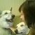 Sheri Eardley-Whitten's profile image
