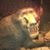 Kian Schnabel's profile image
