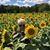 Cindy Spradlin's profile image