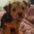 Elizabeth Catherine Kelly's profile image