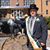 Donald Shauger's profile image