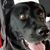 Julie A Seymour's profile image