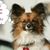 Lilianna Laouri's profile image