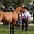 Estevao Vieira Alessandra's profile image