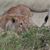 Gil Kelly Vela's profile image