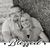 Mikah Buntin's profile image