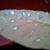 Katrina Tazewell's profile image