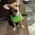 Marilyn Shar's profile image