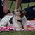 Beckie Findley's profile image