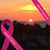 Diana Stotler's profile image