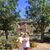 Sharon Davis's profile image
