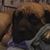 Dave Graveline's profile image
