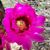 Ute Schmid Keyes's profile image