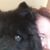 Beth Monk Fosth's profile image