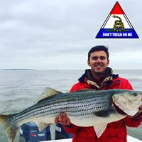 Nick Prieto's profile image