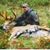 Bill Gardner's profile image