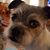 Nancy Davis's profile image