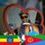 Dawit Werede's profile image