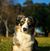 Rick Schudar's profile image