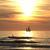 Kathy Parrish's profile image