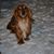 Lyle Christensen's profile image