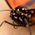 Linda O'Halloran's profile image
