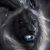William Mitchell's profile image