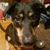 Leah Mueller Volker's profile image