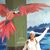 Starla Fowler Karlis's profile image