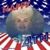 Joan Simon Rogers's profile image