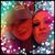 Jori Johnson Schrapps's profile image
